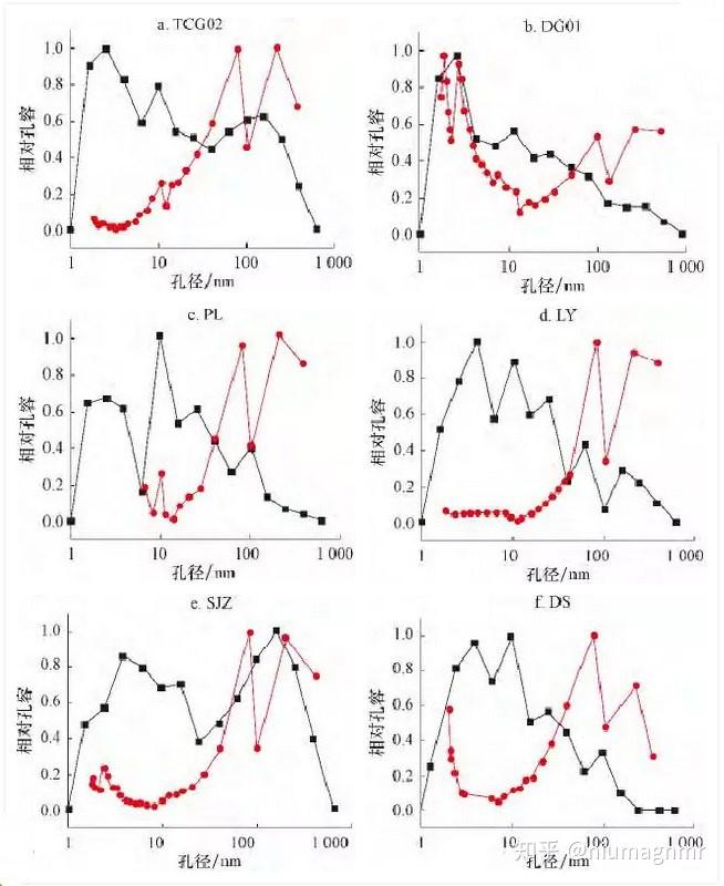【油气专栏】储层表征的他山之石--核磁共振纳米孔隙分析法