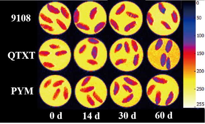 “开云官方站登录入口杯”江南大学优秀案例解析|不同冷冻储藏期速冻米饭水分分布变化规律探究
